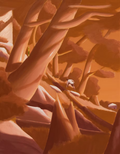 Evening Between Pines
