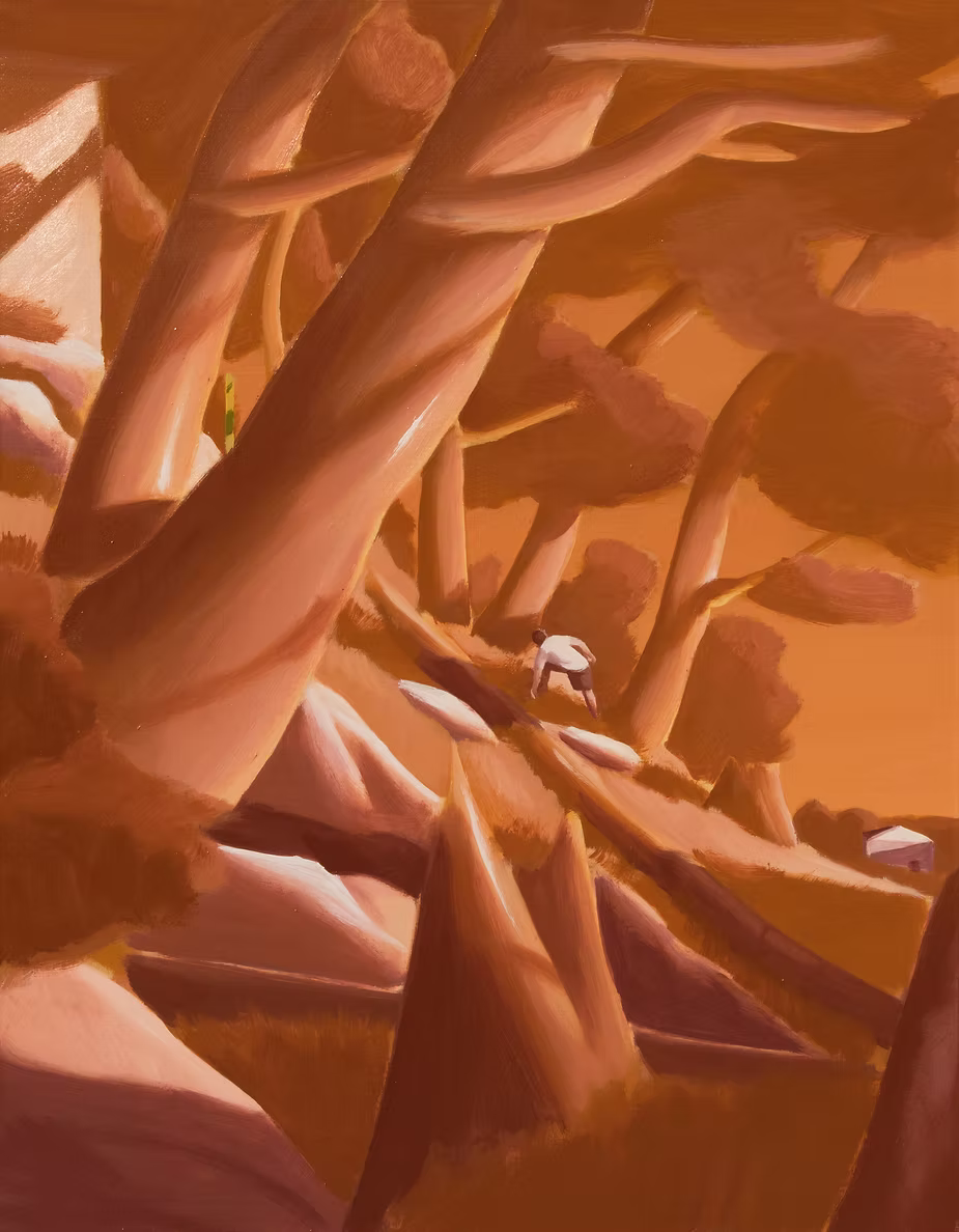 Evening Between Pines
